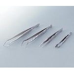 Stainless Steel Tweezers